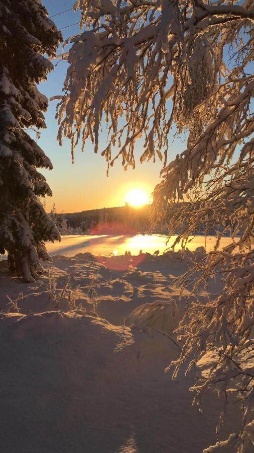 Вилла Loma-Laattaja Hyrynsalmi Экстерьер фото
