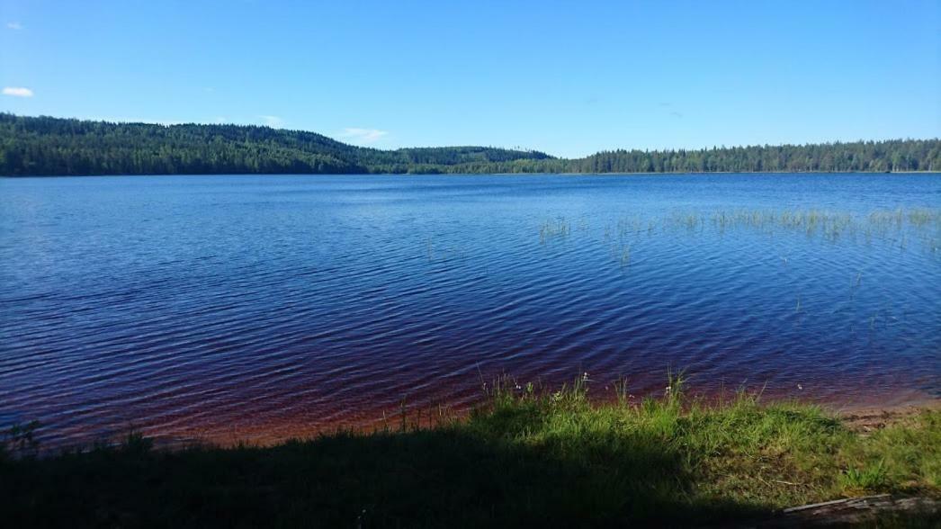Вилла Loma-Laattaja Hyrynsalmi Экстерьер фото